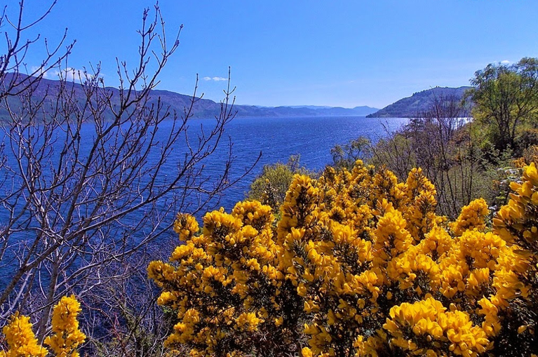 Scotland: Lockness