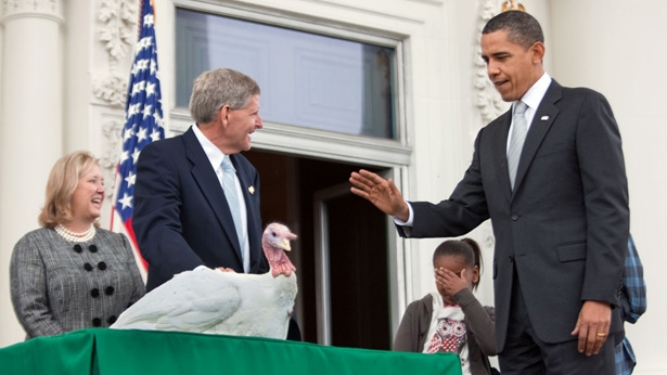 Obamas Turkey Pardon | Thanksgiving traditions