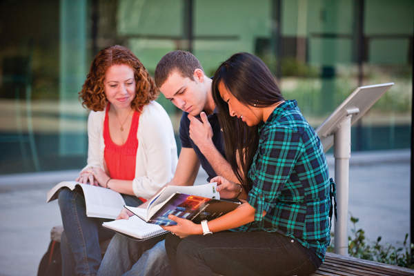 Students studying outside