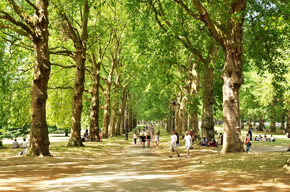 Green Park in London is a great place to rest and unwind during the summer while studying abroad in London